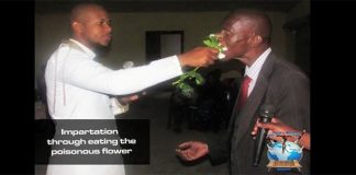Afrique du Sud : un pasteur nourrit ses fidèles avec du cafard et des fleurs toxiques (photos) Facebook
