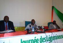 Journée des Légumineuses : Les paysans seront à l’honneur le 19 février à Koumbré