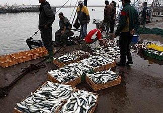 L’accord de pêche UE-Maroc pas applicable au Sahara occidental, estime la justice européenne