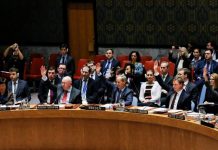 L’ONU adopte à l’unanimité une trêve humanitaire de 30 jours en Syrie