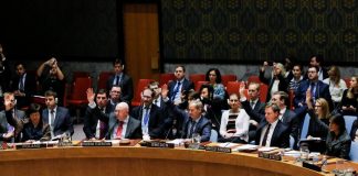 L’ONU adopte à l’unanimité une trêve humanitaire de 30 jours en Syrie
