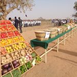 Agriculture: Journée nationale des Légumineuses pour valoriser la filière