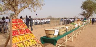 Agriculture: Journée nationale des Légumineuses pour valoriser la filière