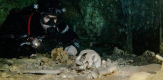 Mexique : de nombreux trésors archéologiques mayas découverts dans la plus grande grotte immergée du monde
