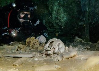 Mexique : de nombreux trésors archéologiques mayas découverts dans la plus grande grotte immergée du monde