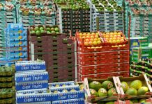 Cinq fruits et légumes par jour…Et des traces de pesticides