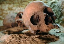 Egypte: Découverte d’une importante nécropole au sud du Caire