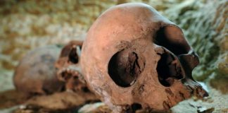 Egypte: Découverte d’une importante nécropole au sud du Caire