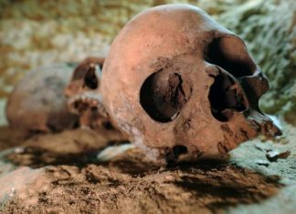 Egypte: Découverte d’une importante nécropole au sud du Caire