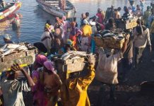 Sénégal-Mauritanie : le casse-tête des accords de pêche