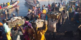 Sénégal-Mauritanie : le casse-tête des accords de pêche