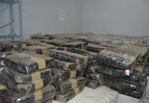 Burkina : Plus de 15 tonnes de stupéfiants saisies en 4 mois par la douane