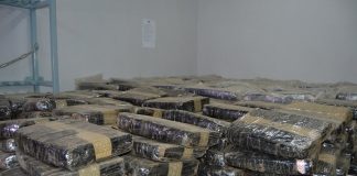 Burkina : Plus de 15 tonnes de stupéfiants saisies en 4 mois par la douane