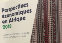 Perspectives économiques en Afrique 2018: une croissance sans emploi?