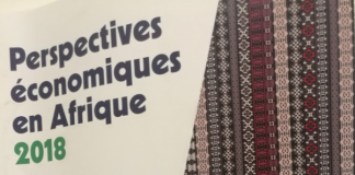 Perspectives économiques en Afrique 2018: une croissance sans emploi?