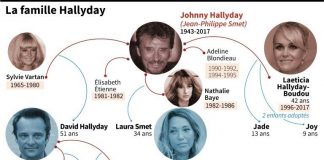 Héritage Hallyday: gel des avoirs et album posthume au cœur du débat judiciaire vendredi