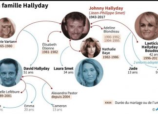 Héritage Hallyday: gel des avoirs et album posthume au cœur du débat judiciaire vendredi