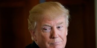 « Trump en 100 tweets »: une parodie illustrée sort en France et en Belgique