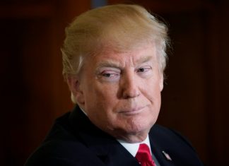 « Trump en 100 tweets »: une parodie illustrée sort en France et en Belgique