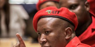 Afrique du Sud : l’opposant Julius Malema refuse de rallier l’ANC