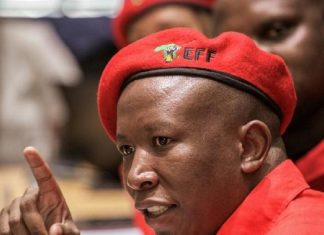 Afrique du Sud : l’opposant Julius Malema refuse de rallier l’ANC