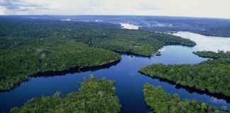 Journée mondiale de l’eau : la paradoxale et éternelle soif des Africains