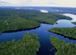 Journée mondiale de l’eau : la paradoxale et éternelle soif des Africains