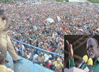 Tanzanie : un député condamné à 5 mois de prison pour insulte au président