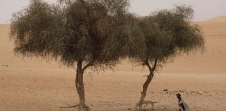 Afrique de l’Ouest: 8 millions de personnes en insécurité alimentaire