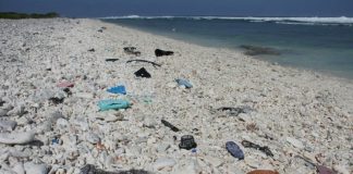 Des scientifiques créent par hasard une enzyme dévoreuse de plastique