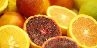 Autour de la Méditerranée, les agrumes risquent de disparaître