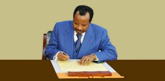 Nomination des sénateurs au Cameroun : 2 femmes pour 28 hommes