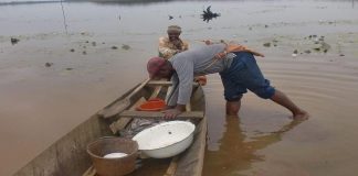 Cameroun : six morts et deux disparus dans un naufrage au nord-ouest (médias)