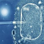 Un bébé est né en Chine quatre ans après la mort de ses parents