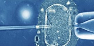 Un bébé est né en Chine quatre ans après la mort de ses parents