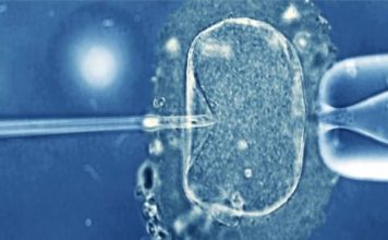 Un bébé est né en Chine quatre ans après la mort de ses parents