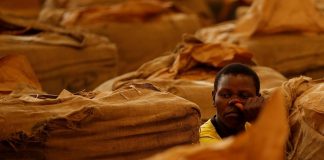 Zimbabwe : le travail du tabac empoisonne les enfants (HRW)
