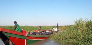 Une attaque de Boko Haram fait 6 morts au Tchad