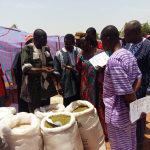 Journées promotionnelles du niébé dans le Sanguié : Une cadre d’échanges et d’opportunités d’affaires