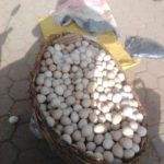 Vente d’œuf à Ouagadougou : un commerce qui nourrit son homme