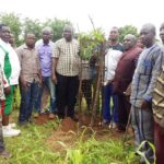 Commune de Sabou : 1 300 plants pour sauver la mare aux crocodiles sacrés en proie à l’ensablement