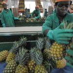 Economie: les exportations africaines menacées par le réchauffement climatique