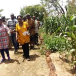 Campagne agricole dans le Boulkiemdé et le Sanguié : la saison est satisfaisante