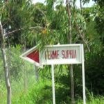 Ferme Sophia : une source d’autonomisation de Tapsoba Honorine Marie Sophia