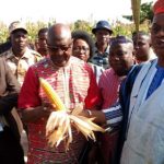 Agriculture : Jacob Ouédraogo dans la ferme agrosylvopastorale du Laarlé Naaba Tigré