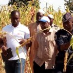 campagne agricole 2018: Une belle moisson dans le Nord du pays Campagne- Agricole- 2018- Nord- Burkina