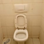 19 novembre : journée mondiale des toilettes journee- mondial- toilette