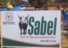 SABEL 2018 :  Ce qu’en pensent les exposants SABEL-2018-Ce-qu-en-pensent-les-exposants