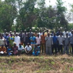 Sélection participative des semences : des producteurs s’imprègnent des variétés de riz de l’INERA Producteurs-Riz-Burkina-Sémences