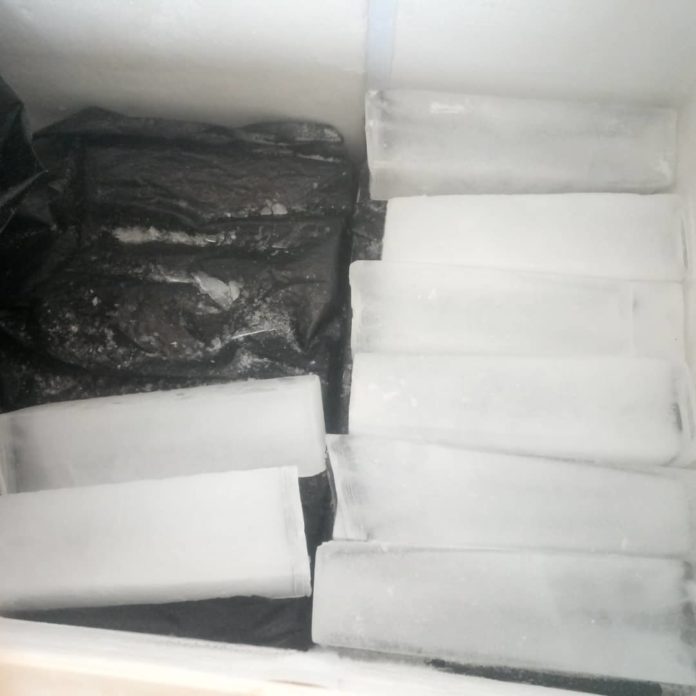 DES-BARRES-DE-GLACE-DE-LA-SOCIETE-YAAMKOM